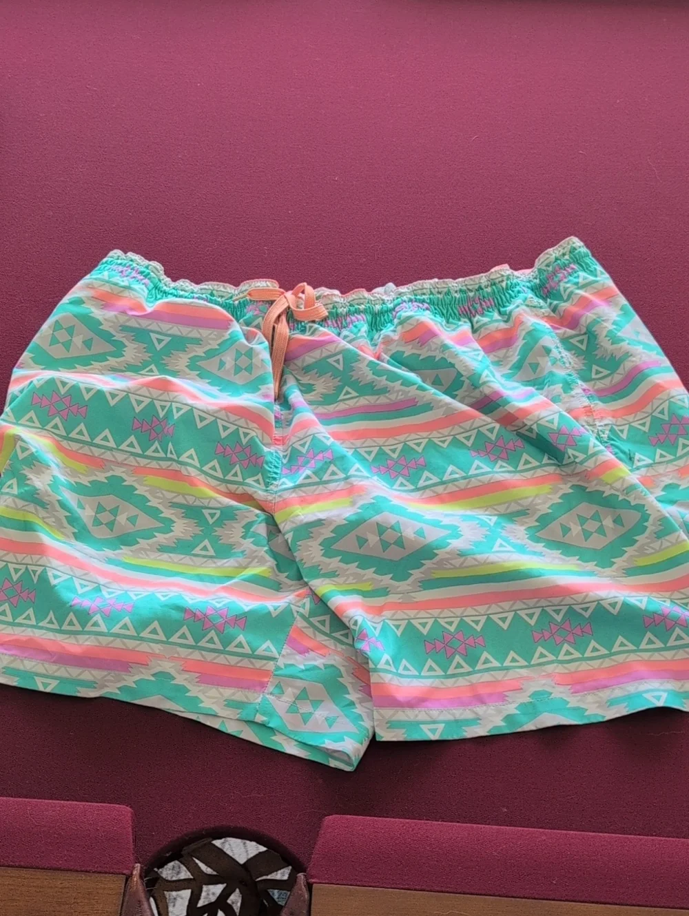 Men's Mint Aztec Print Chubbies Swim Shorts